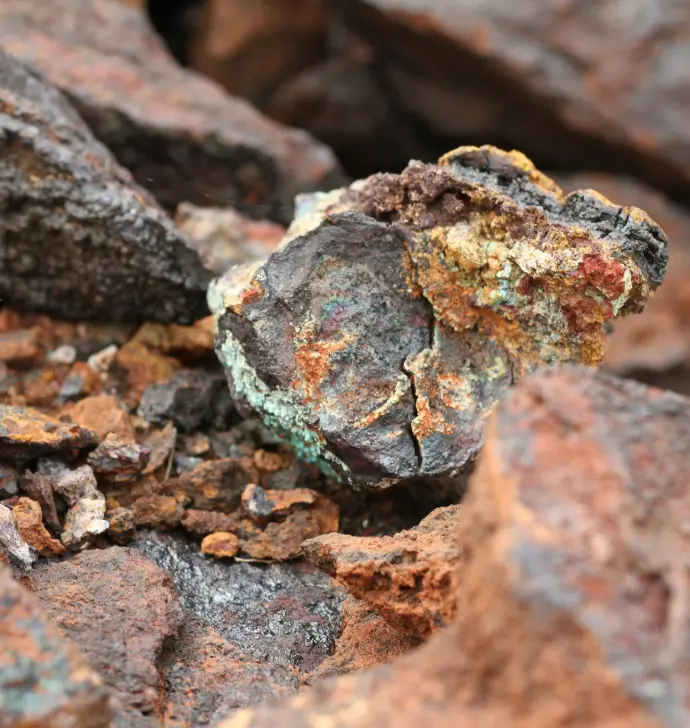 a close up of a rock with lichen on it
